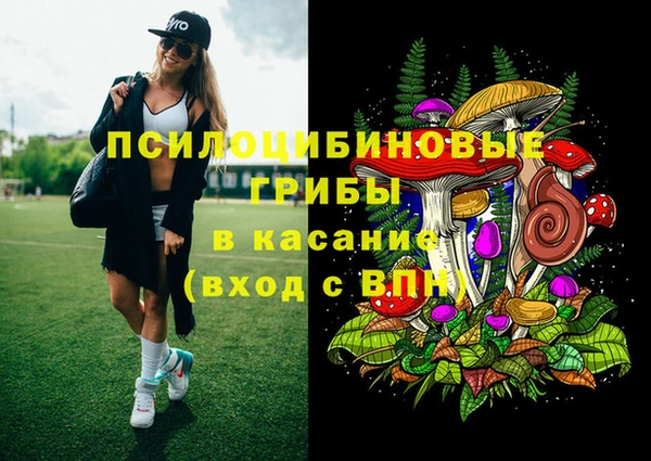 наркотики Алексин