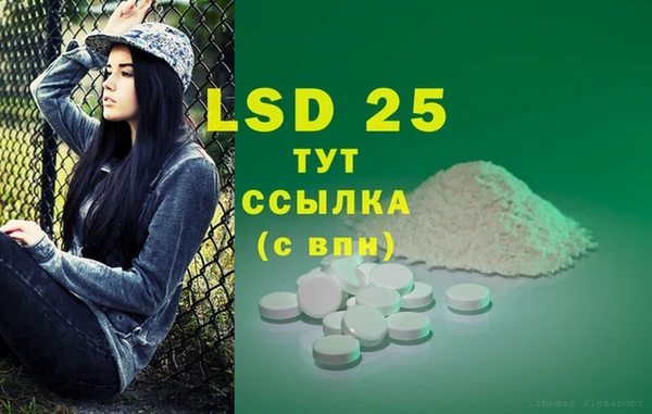 молекула духа Алзамай
