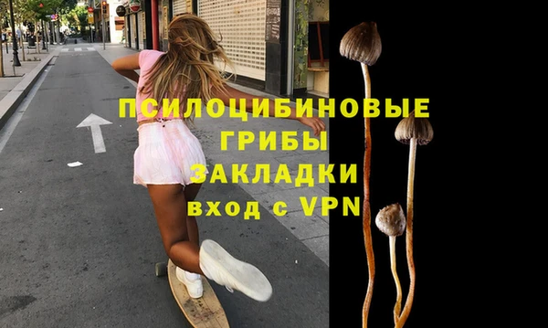 молекула духа Алзамай