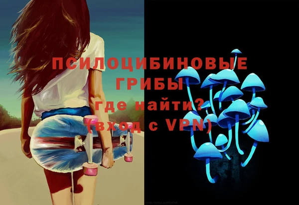 молекула духа Алзамай