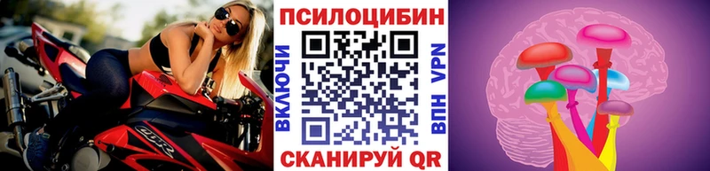 Купить  Иваново  Псилоцибиновые грибы ЛСД 